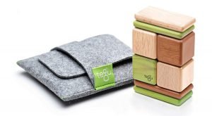 Tegu Pocket Pouch Magnetic Wooden Block Set