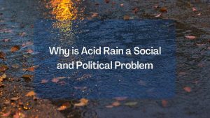 Why is Acid Rain a Social and Political Problem