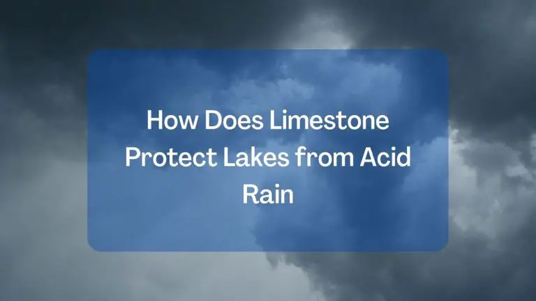 How Does Limestone Protect Lakes from Acid Rain