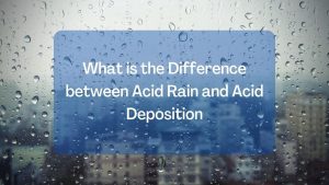 What is the Difference between Acid Rain and Acid Deposition