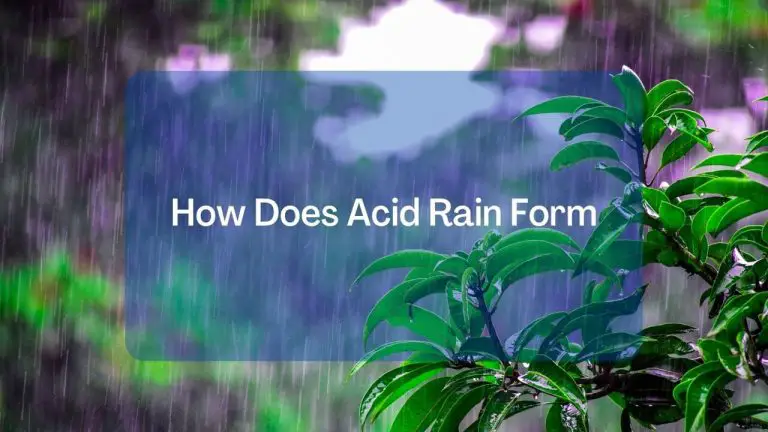 How Does Acid Rain Form