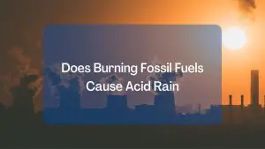 Does Burning Fossil Fuels Cause Acid Rain