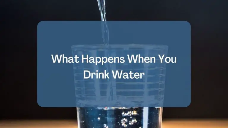 What Happens When You Drink Water