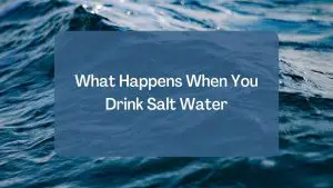 What Happens When You Drink Salt Water