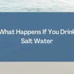 What Happens If You Drink Salt Water